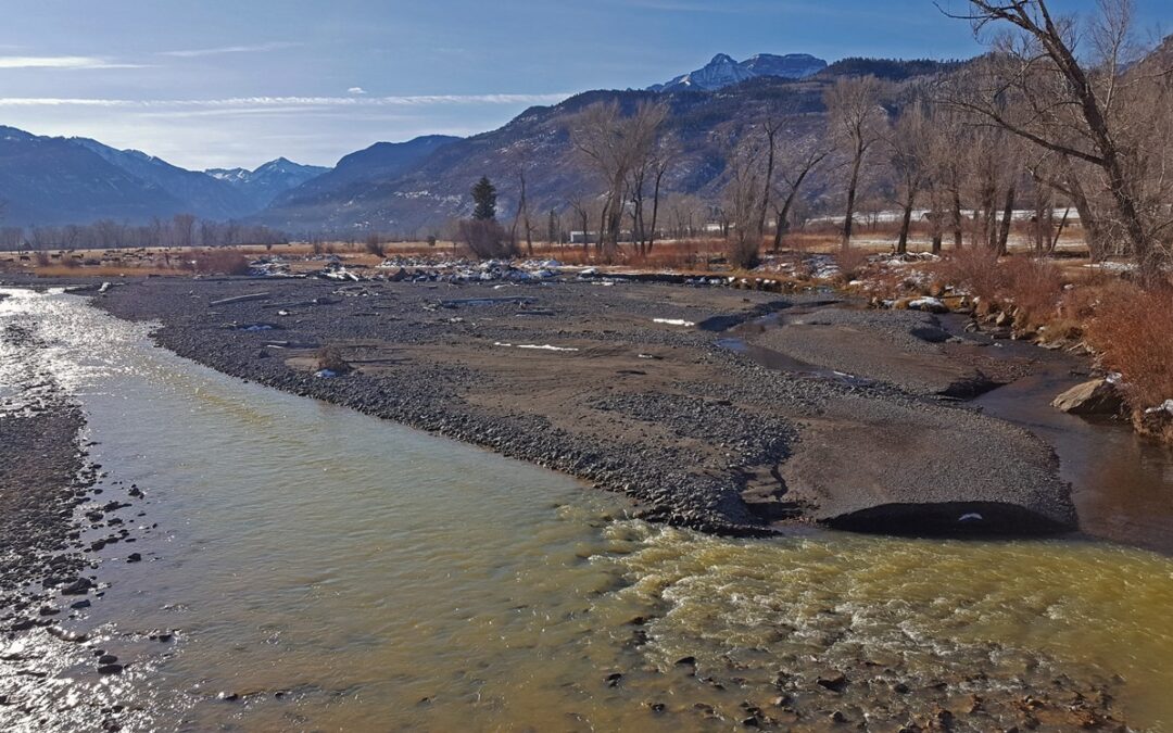 River Science Partners with River Watch to Protect Colorado’s River Health